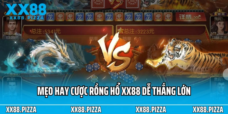Mẹo hay cược Rồng Hổ XX88 dễ thắng lớn